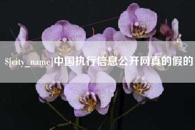 阜新中国执行信息公开网真的假的