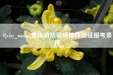 阜新重庆消防设施操作员证报考条件