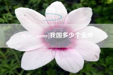 阜新我国多少个金牌