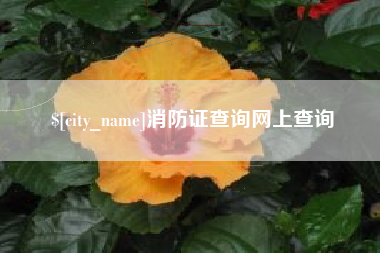 阜新消防证查询网上查询
