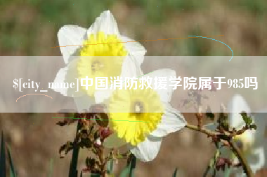 阜新中国消防救援学院属于985吗