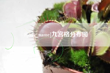 阜新九宫格分布图