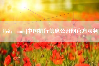 阜新中国执行信息公开网官方服务