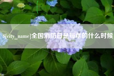 阜新全国消防日是每年的什么时候