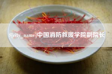 阜新中国消防救援学院副院长