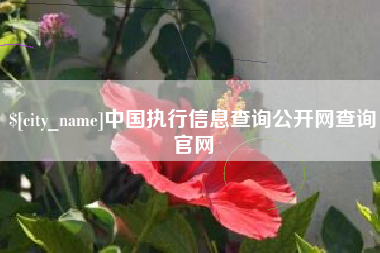 阜新中国执行信息查询公开网查询官网