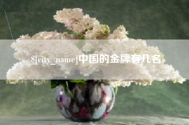 阜新中国的金牌有几名