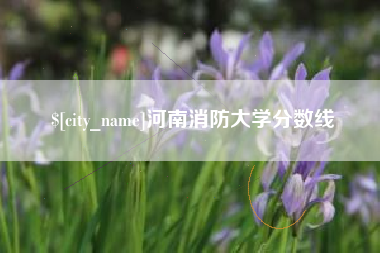 阜新河南消防大学分数线