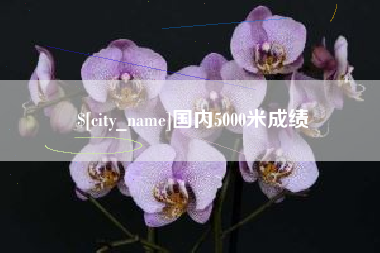 阜新国内5000米成绩