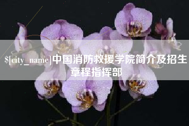 阜新中国消防救援学院简介及招生章程指挥部