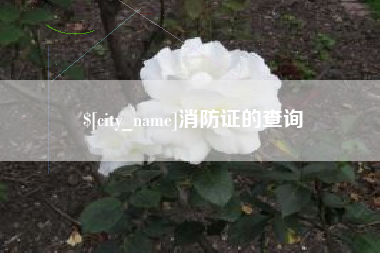 阜新消防证的查询