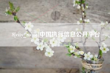 阜新中国执行信息公开平台