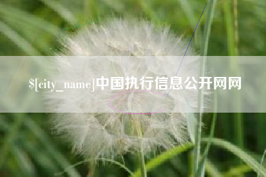 阜新中国执行信息公开网网