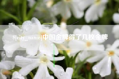 阜新中国金牌得了几枚金牌