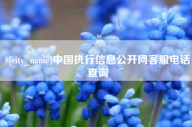 阜新中国执行信息公开网客服电话查询