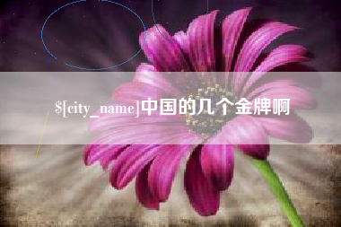 阜新中国的几个金牌啊