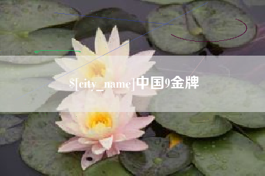 阜新中国9金牌