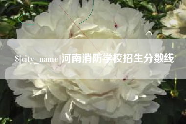 阜新河南消防学校招生分数线