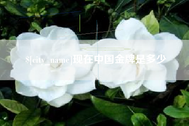 阜新现在中国金牌是多少
