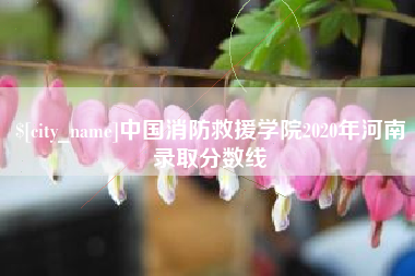 阜新中国消防救援学院2020年河南录取分数线