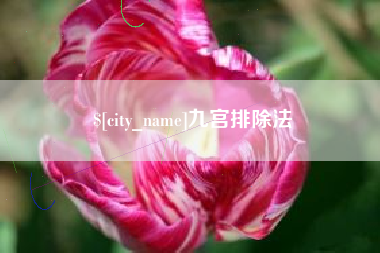 阜新九宫排除法