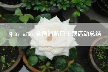 阜新全国消防日主题活动总结