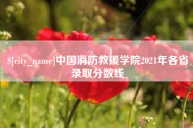 阜新中国消防救援学院2021年各省录取分数线