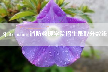 阜新消防救援学院招生录取分数线