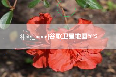 阜新谷歌卫星地图2025