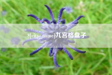 阜新九宫格盘子
