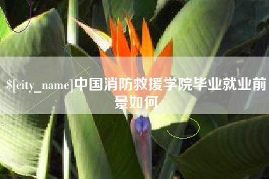 阜新中国消防救援学院毕业就业前景如何