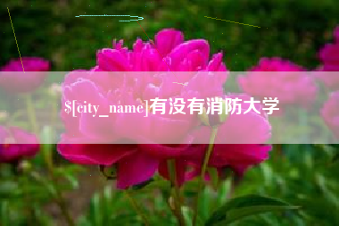 阜新有没有消防大学
