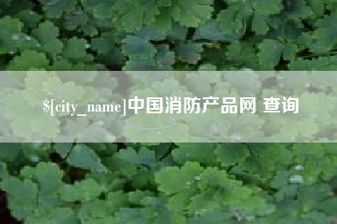 阜新中国消防产品网 查询