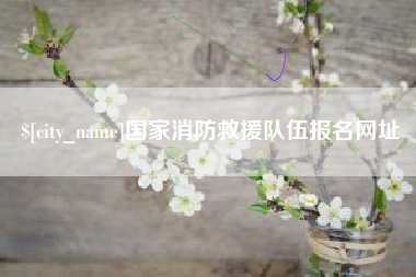 阜新国家消防救援队伍报名网址