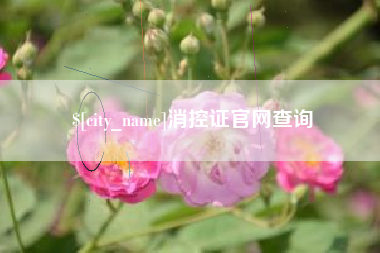阜新消控证官网查询