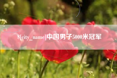 阜新中国男子5000米冠军