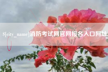 阜新消防考试网官网报名入口网址