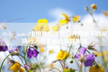 阜新中国执行信息公开网查不到被执行人是不是已解除限高