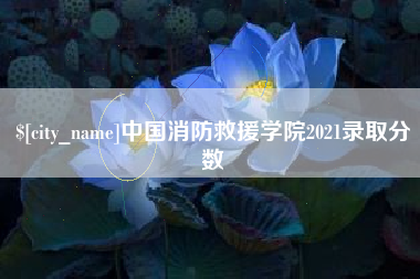 阜新中国消防救援学院2021录取分数