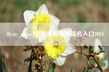 阜新中国消防官网报名入口2024