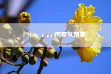 阜新国家队图案