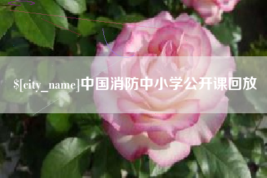 阜新中国消防中小学公开课回放