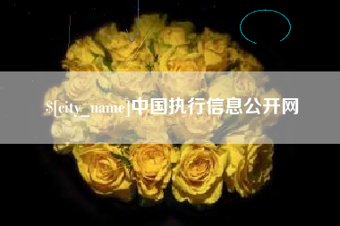 阜新中国执行信息公开网