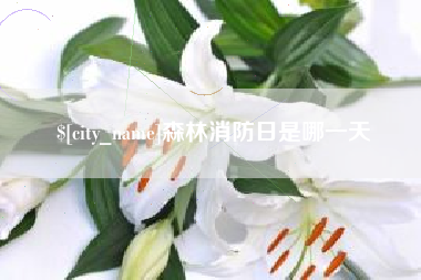 阜新森林消防日是哪一天