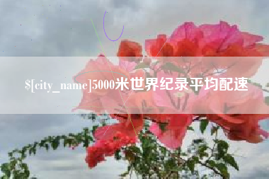 阜新5000米世界纪录平均配速