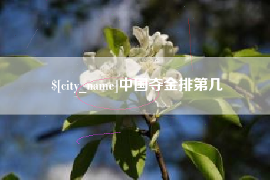 阜新中国夺金排第几