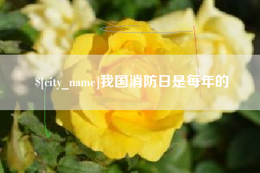 阜新我国消防日是每年的