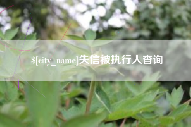阜新失信被执行人杳询