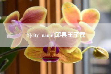 阜新邱县王子磊