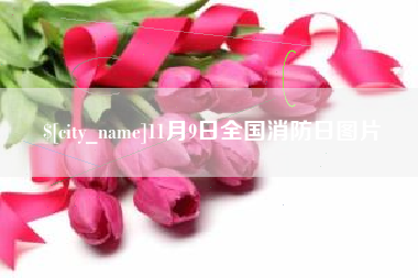 阜新11月9日全国消防日图片